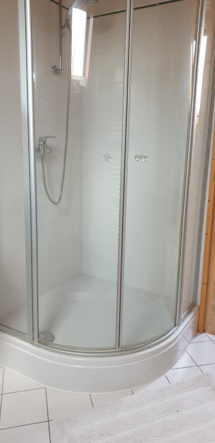 מגדבורג Ferienwohnung Stadtvilla מראה חיצוני תמונה